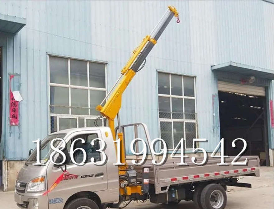 善化区车载吊机车载吊机220v移动吊机车载吊机家用车小型可拆卸包安装